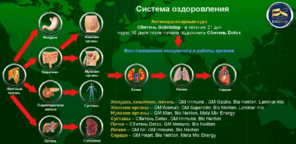 Антипаразитарная программа гринвей схема приема